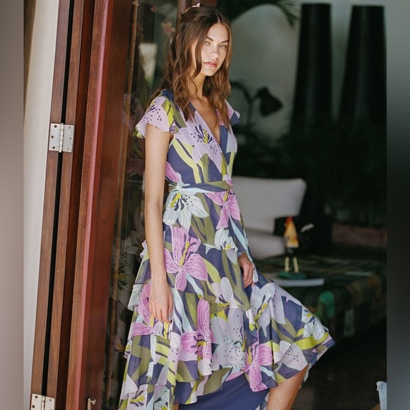 Hutch Anda Midi Dress - Picture 2 of 6